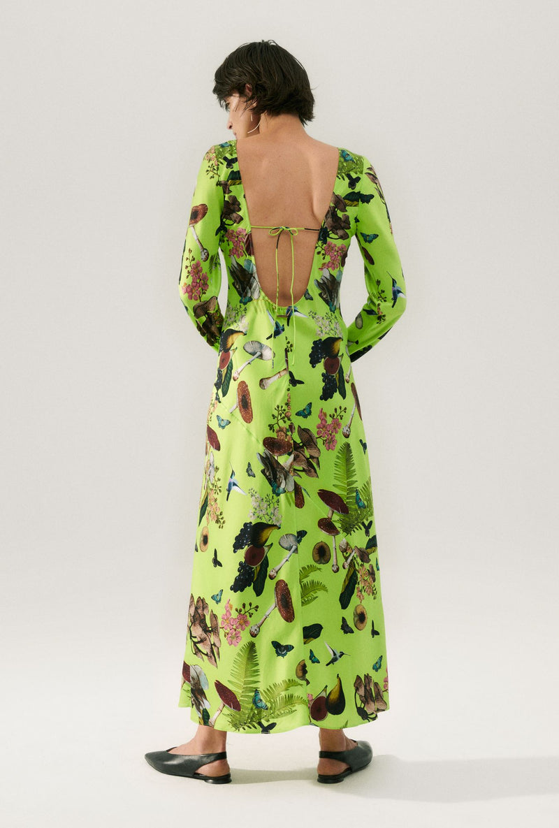 SIENNA DRESS MAGIC MUSHROOM FERN